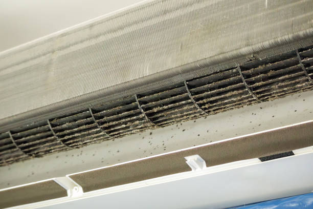 Best Air Duct Cleaning Company Near Me  in Monmouth, OR